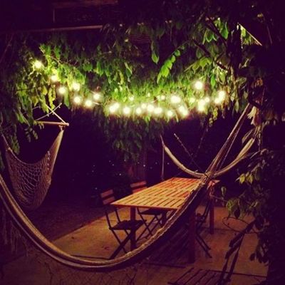 100V-220V Tamaño personalizado guirnalda de LED estrellado para jardín al aire libre fondo de dormitorio