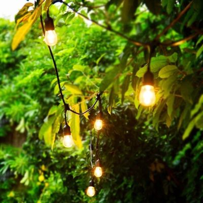 Transforme su hogar en un país de las maravillas de invierno con productos de café luces de cuerda solar