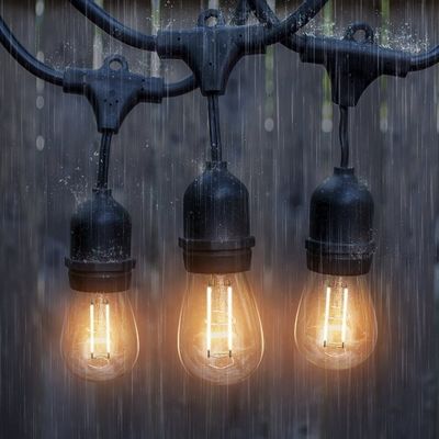 Luz de cuerda de LED de tamaño de color personalizado para decoración de jardín Festoon al aire libre